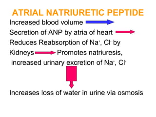 ATRIAL NATRIURETIC PEPTIDE
Increased blood volume
Secretion of ANP by atria of heart
Reduces Reabsorption of Na+
, Cl-
by
Kidneys Promotes natriuresis,
increased urinary excretion of Na+
, Cl-
Increases loss of water in urine via osmosis
 