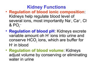 Kidney Functions
• Regulation of blood ionic composition:
Kidneys help regulate blood level of
several ions, most importantly Na+
, Ca++
, Cl-
& PO4
—
• Regulation of blood pH: Kidneys excrete
variable amount oh H+
ions into urine and
conserve HCO3 ions, which are buffer for
H+
in blood
• Regulation of blood volume: Kidneys
adjust volume by conserving or eliminating
water in urine
 