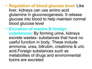 • Regulation of blood glucose level: Like
liver, kidneys can use amino acid
glutamine in gluconeogenesis. It release
glucose into blood to help maintain normal
blood glucose level
• Excretion of wastes & foreign
substances: By forming urine, kidneys
excrete wastes- substances that have no
useful function in body. These include
ammonia, urea, bilirubin, creatinine & uric
acid.Foreign substances such as
metabolites of drugs and environmental
toxins are excreted
 