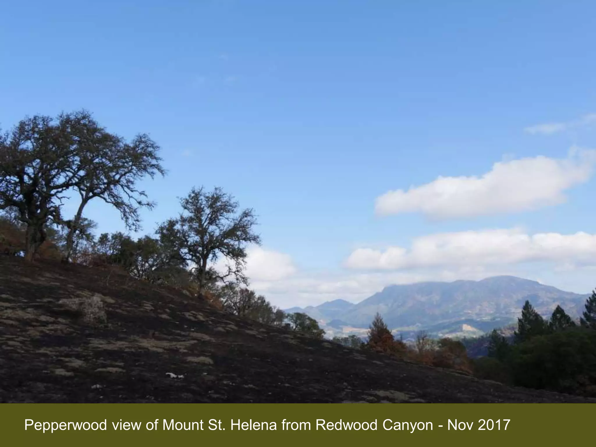 Pepperwood view of Mount St. Helena from Redwood Canyon - Nov 2017