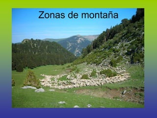 Zonas de montaña
 