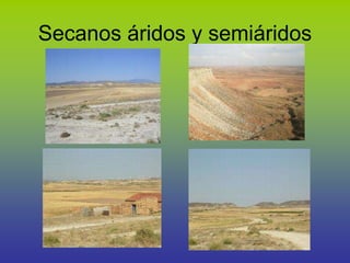 Secanos áridos y semiáridos
 