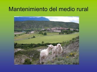 Mantenimiento del medio rural
 