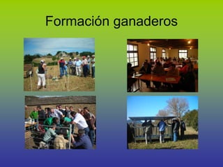 Formación ganaderos
 