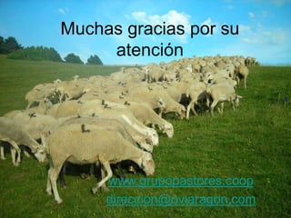 Muchas gracias por su
atención
www.grupopastores.coop
direccion@oviaragon.com
 