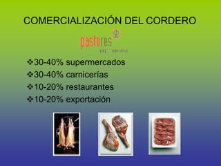 COMERCIALIZACIÓN DEL CORDERO
30-40% supermercados
30-40% carnicerías
10-20% restaurantes
10-20% exportación
 