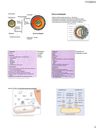 17/12/2013

nucleocapsídeo

Vírus envelopado
• Maioria infecta célula animal (ex.: influenza)
• Bicamada do envelope é derivado da membrana celular
• Proteínas da membrana viral produzidas pelos genes virais
• Importante para reconhecimento e adesão (virulência)

Complexos de proteínas

Enzimas virais – infecção
e replicação

Properties
of naked
capsid
viruses

From Medical Microbiology, 5th ed., Murray, Rosenthal & Pfaller, Mosby Inc., 2005, Box 6-4.

Properties of
enveloped viruses

From Medical Microbiology, 5th ed., Murray, Rosenthal & Pfaller, Mosby Inc., 2005, Fig. Box 6-5.

Tamanho: 20-300 nm (10-100 vezes menores que as bactérias)

2

 