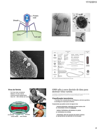 17/12/2013

Vírus da Varíola
• Um dos mais complexos
• Matava 1/3 das vítimas
• Sobreviventes desfigurados
• Séc XX – 300 milhões de mortes

Classificação taxonômica
• Famílias com características morfológicas, estrutura genética
e estratégia de replicação similares
Componentes que podem ocorrer em alguns vírus:
- enzimas polimerases: replicação do ácido nucleico viral
ex. transcriptase reversa nos retrovírus
- lipídeos: fosfolipídeos, glicolipídeos, ác. graxos
ex. fosfolipídeos do envelope
- carboidratos: além dos açúcares dos ácidos nucleicos
ex. glicoproteínas nas espículas do vírus da gripe

4

 