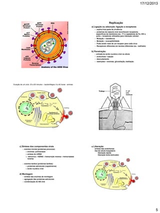 17/12/2013

Replicação
a) Ligação ou adsorção: ligação a receptores
– explica boa parte da virulência
– proteínas da cápsula viral reconhecem receptores
específicos da membrana (ex.: T1 e captadores de Fe; HIV e
polio – receptores utilizados para interação celular)
– Mutação – resistência
– Mutação – susceptibilidade
– Pode existir mais de um receptor para cada vírus
– Receptores diferentes em tecidos diferentes (ex.: resfriado)

b) Penetração:
–
–
–
–

entrada do ácido nucleico viral na célula
endocitose / injeção
desnudamento
restrições – enzimas, glicosilação, metilação.

Duração de um ciclo: 20 a 60 minutos – bacteriófagos; 8 a 40 horas - animais

c) Síntese dos componentes virais
– eventos iniciais (proteínas precoces):
» enzimas: polimerases
» síntese do mRNA
» retrovírus – fdDNA – transcrição reversa – transcriptase
reversa

e) Liberação
síntese das endolisinas
lise da célula hospedeira
liberação rápida
liberação lenta (extrusão)

– eventos tardios (proteínas tardias):
» proteínas estruturais (capsômeros)
» ácido nucléico viral

d) Montagem
– síntese das enzimas de montagem
– agregação das proteínas estruturais
– condensação do AN viral

5

 