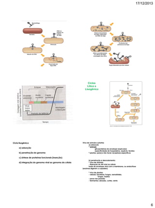 17/12/2013

Ciclos
Lítico e
Lisogênico

Ciclo lisogênico
a) adsorção
b) penetração do genoma

Vírus de animais e plantas
a) adsorção
* animais:
glicoproteínas do envelope (espículas)
especificidade de hospedeiros, espécie, tecidos
* plantas: parece não haver receptores específicos

c) síntese de proteínas funcionais (inserção)
d) integração do genoma viral ao genoma da célula

b) penetração e desnudamento:
* vírus de animais:
- liberação do AN viral na célula:
fusão do envelope viral com a membrana, ou endocitose
(enzimas digerem o capsídeo)
* vírus de plantas:
- vetores: bactérias, fungos, nematóides,
fungos, insetos
- poros nas paredes
- ferimentos: abrasão, cortes, vento

6

 