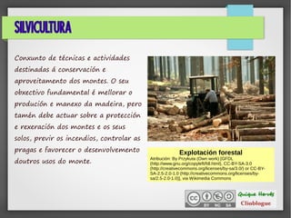 SILVICULTURA
Conxunto de técnicas e actividades
destinadas á conservación e
aproveitamento dos montes. O seu
obxectivo fundamental é mellorar o
produción e manexo da madeira, pero
tamén debe actuar sobre a protección
e rexeración dos montes e os seus
solos, previr os incendios, controlar as
pragas e favorecer o desenvolvemento
doutros usos do monte.
Explotación forestal
Atribución: By Przykuta (Own work) [GFDL
(http://www.gnu.org/copyleft/fdl.html), CC-BY-SA-3.0
(http://creativecommons.org/licenses/by-sa/3.0/) or CC-BY-
SA-2.5-2.0-1.0 (http://creativecommons.org/licenses/by-
sa/2.5-2.0-1.0)], via Wikimedia Commons
 