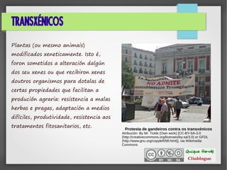TRANSXÉNICOS
Plantas (ou mesmo animais)
modificados xeneticamente. Isto é,
foron sometidos a alteración dalgún
dos seu xenes ou que recibiron xenes
doutros organismos para dotalas de
certas propiedades que facilitan a
produción agraria: resistencia a malas
herbas e pragas, adaptación a medios
difíciles, produtividade, resistencia aos
tratamentos fitosanitarios, etc.
Protesta de gandeiros contra os transxénicos
Atribución: By Mr. Tickle (Own work) [CC-BY-SA-3.0
(http://creativecommons.org/licenses/by-sa/3.0) or GFDL
(http://www.gnu.org/copyleft/fdl.html)], via Wikimedia
Commons
 