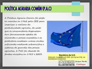 POLÍTICA AGRARIA COMÚN (P.A.C)
A Política Agraria Común foi posta
en marcha en 1962 pola CEE para
impulsar a mellora da
produtividade agrícola, de xeito
que os consumidores dispuxesen
dun fornecemento estable de
alimentos a prezos razoables e os
produtores acadasen unhas rendas
suficientes mediante subvencións e
sistemas de garantía dos prezos
agrícolas. A PAC foi obxecto de
fondas revisións en 1985 e 2003. Bandeira da U.E.
Atribución: by phl59 avril 2005. {{cc-by-sa-2.0}}, via
WIKIMEDIA COMMONS
 