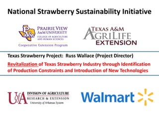 National Strawberry Sustainability Initiative
Texas Strawberry Project: Russ Wallace (Project Director)
Revitalization of Texas Strawberry Industry through Identification
of Production Constraints and Introduction of New Technologies
 