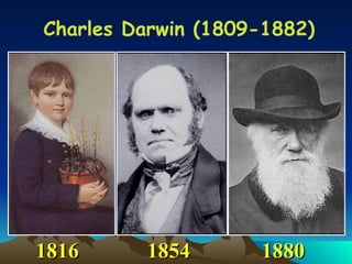 Charles Darwin (1809-1882) 1816 1854 1880 