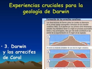 Experiencias cruciales para la geología de Darwin 3. Darwin  y los arrecifes  de Coral 