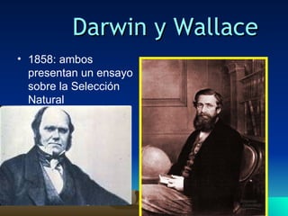 1858: ambos presentan un ensayo sobre la Selección Natural Darwin y Wallace 