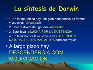 La síntesis de Darwin 1. En la naturaleza hay una gran abundancia de formas y especies ( diversidad ) 2. Pero la diversidad genera  variabilidad 3. Esto lleva la  LUCHA POR LA EXISTENCIA 4. En la lucha por la existencia hay  SELECCIÓN NATURAL DE LOS MÁS APTOS  para sobrevivir. A largo plazo hay  DESCENDENCIA CON MODIVICACIÓN 