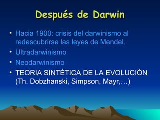 Después de Darwin Hacia 1900: crisis del darwinismo al redescubrirse las leyes de Mendel. Ultradarwinismo Neodarwinismo TEORIA SINTÉTICA DE LA EVOLUCIÓN (Th. Dobzhanski, Simpson, Mayr,…)  