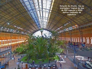Estación de Atocha. Con su invernadero tropical de mas de 500 especies y 4000 metros cuadrados de superficie . 