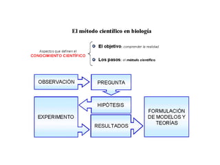 0A-Método científico en biología