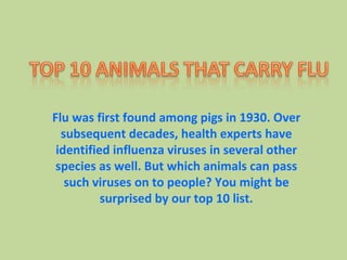 Flu was first found among pigs in 1930. Over subsequent decades, health experts have identified influenza viruses in several other species as well. But which animals can pass such viruses on to people? You might be surprised by our top 10 list. 
