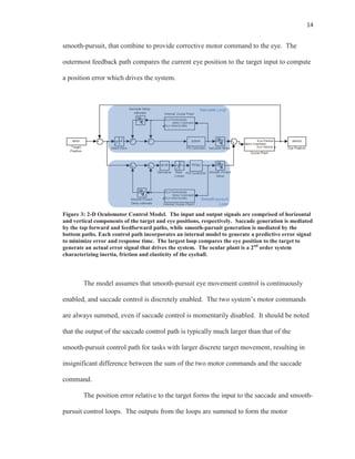14
smooth-pursuit, that combine to provide corrective motor command to the eye. The
outermost feedback path compares the current eye position to the target input to compute
a position error which drives the system.
Figure 3: 2-D Oculomotor Control Model. The input and output signals are comprised of horizontal
and vertical components of the target and eye positions, respectively. Saccade generation is mediated
by the top forward and feedforward paths, while smooth-pursuit generation is mediated by the
bottom paths. Each control path incorporates an internal model to generate a predictive error signal
to minimize error and response time. The largest loop compares the eye position to the target to
generate an actual error signal that drives the system. The ocular plant is a 2nd
order system
characterizing inertia, friction and elasticity of the eyeball.
The model assumes that smooth-pursuit eye movement control is continuously
enabled, and saccade control is discretely enabled. The two system’s motor commands
are always summed, even if saccade control is momentarily disabled. It should be noted
that the output of the saccade control path is typically much larger than that of the
smooth-pursuit control path for tasks with larger discrete target movement, resulting in
insignificant difference between the sum of the two motor commands and the saccade
command.
The position error relative to the target forms the input to the saccade and smooth-
pursuit control loops. The outputs from the loops are summed to form the motor
 