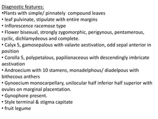 Diagnostic features:
•Plants with simple/ pinnately compound leaves
• leaf pulvinate, stipulate with entire margins
• Inflorescence racemose type
• Flower bisexual, strongly zygomorphic, perigynous, pentamerous,
cyclic, dichlamydeous and complete.
• Calyx 5, gamosepalous with valavte aestivation, odd sepal anterior in
position
• Corolla 5, polypetalous, papilionaceous with descendingly imbricate
aestivation
• Androecium with 10 stamens, monadelphous/ diadelpous with
bithecous anthers
• Gynoecium monocarpellary, unilocular half inferior half superior with
ovules on marginal placentation.
• Gynophore present.
• Style terminal & stigma capitate
• fruit legume
 