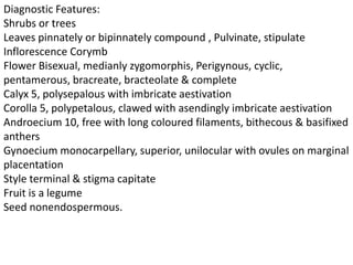 Diagnostic Features:
Shrubs or trees
Leaves pinnately or bipinnately compound , Pulvinate, stipulate
Inflorescence Corymb
Flower Bisexual, medianly zygomorphis, Perigynous, cyclic,
pentamerous, bracreate, bracteolate & complete
Calyx 5, polysepalous with imbricate aestivation
Corolla 5, polypetalous, clawed with asendingly imbricate aestivation
Androecium 10, free with long coloured filaments, bithecous & basifixed
anthers
Gynoecium monocarpellary, superior, unilocular with ovules on marginal
placentation
Style terminal & stigma capitate
Fruit is a legume
Seed nonendospermous.
 