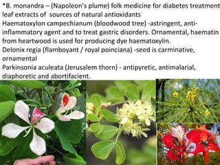 *B. monandra – (Napoleon's plume) folk medicine for diabetes treatment
leaf extracts of sources of natural antioxidants
Haematoxylon campechianum (bloodwood tree) -astringent, anti-
inflammatory agent and to treat gastric disorders. Ornamental, haematin
from heartwood is used for producing dye haematoxylin.
Delonix regia (flamboyant / royal poinciana) -seed is carminative,
ornamental
Parkinsonia aculeata (Jerusalem thorn) - antipyretic, antimalarial,
diaphoretic and abortifacient.
 