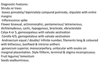 Diagnostic Features:
Shrubs or trees
leaves pinnately/ bipinnately compund pulvinate, stipulate with entire
margins
Inflorescence spike
Flower bisexual, actinomorphic, pentamerous/ tetramerous,
dichlamydeous, cyclic, hypogynous, bracteate, ebracteolate
Calyx 4 or 5, gamosepalous with valvate aestivation
Corolla 4/5, gamopetalous with valvate aestivation
Androecium equal / double/ infinite number, filaments long & coloured
with bithecous, basifixed & introrse anthers
gynoecium superior, monocarpellary, unilocular with ovules on
marginal placentation. Style filiform, terminal & stigma inconspicuous.
Fruit legume/ lomentum
Seeds exalbuminous.
 