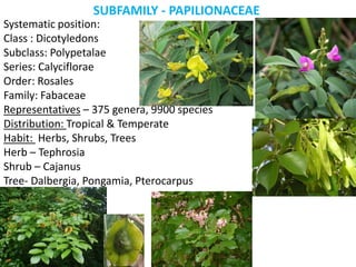SUBFAMILY - PAPILIONACEAE
Systematic position:
Class : Dicotyledons
Subclass: Polypetalae
Series: Calyciflorae
Order: Rosales
Family: Fabaceae
Representatives – 375 genera, 9900 species
Distribution: Tropical & Temperate
Habit: Herbs, Shrubs, Trees
Herb – Tephrosia
Shrub – Cajanus
Tree- Dalbergia, Pongamia, Pterocarpus
 