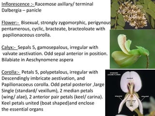 Inflorescence :- Racemose axillary/ terminal
Dalbergia – panicle
Flower:- Bisexual, strongly zygomorphic, perigynous
pentamerous, cyclic, bracteate, bracteoloate with
papilionaceous corolla.
Calyx:- Sepals 5, gamosepalous, irregular with
valvate aestivation. Odd sepal anterior in position.
Bilabiate in Aeschynomene aspera
Corolla:- Petals 5, polypetalous, irregular with
Descendingly imbricate aestivation, and
Papilionacoeus corolla. Odd petal posterior ,large
Single (standard/ vexillum), 2 median petals
(wing/ alae), 2 anterior pair petals (keel/ carina).
Keel petals united (boat shaped)and enclose
the essential organs
 