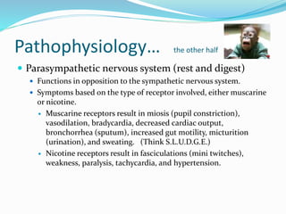 Pathophysiology… the other half
 Parasympathetic nervous system (rest and digest)
 Functions in opposition to the sympathetic nervous system.
 Symptoms based on the type of receptor involved, either muscarine
or nicotine.
 Muscarine receptors result in miosis (pupil constriction),
vasodilation, bradycardia, decreased cardiac output,
bronchorrhea (sputum), increased gut motility, micturition
(urination), and sweating. (Think S.L.U.D.G.E.)
 Nicotine receptors result in fasciculations (mini twitches),
weakness, paralysis, tachycardia, and hypertension.
 