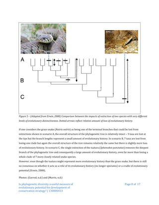 Is phylogenetic diversity a useful measure of evolutionary potential ...