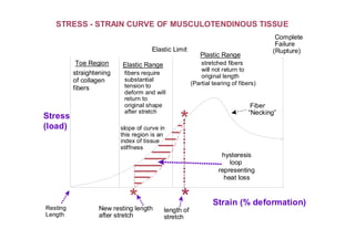 Stress
(load)
Complete
Failure
(Rupture)
Toe Region
straightening
of collagen
fibers
Elastic Range
Plastic Range
Fiber
“Necking”
hysteresis
loop
representing
heat loss
New resting length
after stretch
Strain (% deformation)
length of
stretch
*
STRESS - STRAIN CURVE OF MUSCULOTENDINOUS TISSUE
fibers require
substantial
tension to
deform and will
return to
original shape
after stretch
stretched fibers
will not return to
original length
slope of curve in
this region is an
index of tissue
stiffness
Resting
Length
(Partial tearing of fibers)
*
*
Elastic Limit
 