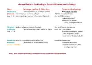 General Steps in the Healing of Tendon Microtrauma Pathology
Stage Pathology, Healing, & Objectives Treatment Implications
Inflammation - inflammation r u GAG & collagen synthesis Rest (activity cessation)
(if present) - prevent injury to developing collagen - NSAID’s, oral corticosteroids
(days 0 - 6) - prevent prolonged course of inflammation (if present) - low level ROM exercises
- cryogenic therapy?
- load reducing devices:
casting, bracing, heel lifts, etc.
Fibroplastic - u rate of collagen synthesis by fibroblasts - low level / low duration exercise
Proliferation - synthesized collagen fibers need to be aligned - stretching r align collagen
(days 5 - 21) - cryogenic-thermogenic therapy?
- ultrasonography? - laser?
- electricity r u fibroblast activity?
Remodeling - u rate of crosslinkage formation & fibril size - strengthening exercises
Maturation - replacement of initial or inferior tissues - u intensity & duration
(20 days – 6 months) - eccentric exercises to further
u collagen alignment
Notes: many body tissues follow this paradigm of healing only with a different timeframe
 