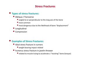 • Types of stress fractures:
• Oblique / Transverse
•angled to or perpendicular to the long axis of the bone
•most common
•most dangerous due to the likelihood of bone “displacement”
• Longitudinal
• Compression
• Examples of Stress Fractures:
• tibial stress fracture in runners
•weight bearing impact related
• humerus stress fracture in javelin thrower
•related to muscle trying to accelerate a “resisting” bone (torque)
Stress Fractures
 