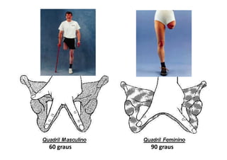 Figura
90 graus60 graus
 