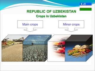 Main crops Minor crops
Crops in Uzbekistan
REPUBLIC OF UZBEKISTAN
 