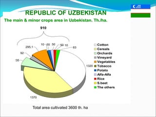The main & minor crops area in Uzbekistan. Th./ha.The main & minor crops area in Uzbekistan. Th./ha.
1370
235
92
10 55 1050 50
63295,1
1320
Cotton
Cereals
Orchards
Vineyard
Vegetables
Tobacco
Potato
Alfa-Alfa
Rice
S.beet
The others
910
Total area cultivated 3600 th. ha
REPUBLIC OF UZBEKISTAN
 
