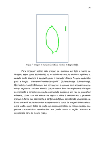 36
Figura 7 - Imagem de marcador gerada via interface do SegmentIt [6].
Para conseguir aplicar esta imagem de marcador em todo o banco de
imagem, assim como estabelecido no 1º estudo de caso, foi criado o Algoritmo 7.
Através deste algoritmo é possível enviar o marcador (Figura 7) como parâmetro
para a função WatershedFromMarkers().byIFT (BufferedImage, BufferedImage,
Connectivity, LabelingCriterion), que por sua vez, o compara com a imagem que se
deseja segmentar, também recebida por parâmetro. Esta função percorre a imagem
de marcação e considera que cada continuidade marcada é um vale de watershed
diferente, como pode ser notado na Figura 4, onde é demonstrado o processo
manual. A forma que acompanha o contorno da folha é considerada uma região e a
forma que está na perpendicular acompanhando a borda da imagem é considerada
outra região, assim, todos os pixels com certa proximidade da região marcada que
possua características semelhantes aos pixels sobre a região marcada é
considerada parte de mesma região.
 