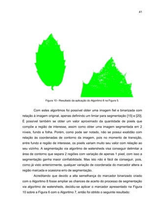41
Figura 10 - Resultado da aplicação do Algoritmo 8 na Figura 5.
Com estes algoritmos foi possível obter uma imagem fiel e binarizada com
relação à imagem original, apenas definindo um limiar para segmentação [15] e [20].
É possível também se obter um valor aproximado da quantidade de pixels que
compõe a região de interesse, assim como obter uma imagem segmentada em 2
níveis, fundo e folha. Porém, como pode ser notado, não se possui exatidão com
relação às coordenadas de contorno da imagem, pois no momento de transição,
entre fundo e região de interesse, os pixels variam muito seu valor com relação ao
seu vizinho. A segmentação via algoritmo de watersheds visa conseguir delimitar a
área de contorno que separa 2 regiões com variação de apenas 1 pixel, com isso a
segmentação ganha maior confiabilidade. Mas isto não é fácil de conseguir, pois,
como já visto anteriormente, qualquer variação de coordenada do marcador altera a
região marcada e ocasiona erro de segmentação.
Acreditando que devido a alta semelhança do marcador binarizado criado
com o Algoritmo 8 fosse ampliar as chances de acerto do processo de segmentação
via algoritmo de watersheds, decidiu-se aplicar o marcador apresentado na Figura
10 sobre a Figura 6 com o Algoritmo 7, então foi obtido o seguinte resultado:
 
