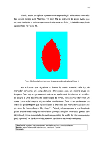 45
Sendo assim, ao aplicar o processo de segmentação atribuindo o marcador
tipo circulo gerado pelo Algoritmo 10, com 172 px diâmetro do pincel (valor que
representa distância entre o centro e o limite oeste da folha), foi obtido o resultado
apresentado na Figura 13.
Figura 13 - Resultado do processo de segmentação aplicado na Figura 5.
Ao aplicar-se este algoritmo no banco de dados notou-se cada tipo de
marcador apresenta um comportamento diferenciado para um mesmo grupo de
imagens. Com isso surge a necessidade de se avaliar qual tipo de marcador melhor
se adapta a uma determinada classificação de folhas, para assim poder obter um
maior numero de imagens segmentadas corretamente. Para poder estabelecer um
índice de porcentagem que representasse a eficiência dos marcadores gerados no
processo foi desenvolvido o Algoritmo 11. Este algoritmo compara a quantidade de
pixels encontradas na região de interesse (folha) da imagem limiarizada gerada pelo
Algoritmo 8 com a quantidade de pixels encontradas da região de interesse geradas
pelo Algoritmo 10, para assim resultar num percentual de acerto do método.
Tipo Double = Objeto que representa o resultado calculado em porcentagem;
Função pegarPercentualAcerto (arquivo : Arquivo) : Double;
Variáveis
 