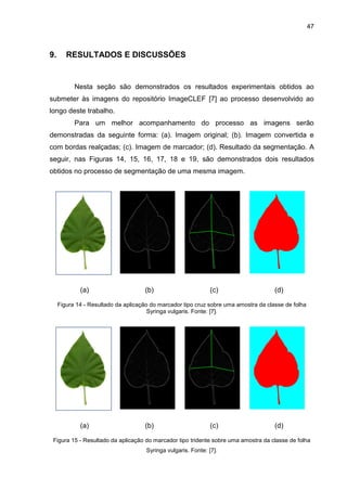 47
9. RESULTADOS E DISCUSSÕES
Nesta seção são demonstrados os resultados experimentais obtidos ao
submeter às imagens do repositório ImageCLEF [7] ao processo desenvolvido ao
longo deste trabalho.
Para um melhor acompanhamento do processo as imagens serão
demonstradas da seguinte forma: (a). Imagem original; (b). Imagem convertida e
com bordas realçadas; (c). Imagem de marcador; (d). Resultado da segmentação. A
seguir, nas Figuras 14, 15, 16, 17, 18 e 19, são demonstrados dois resultados
obtidos no processo de segmentação de uma mesma imagem.
(a) (b) (c) (d)
Figura 14 - Resultado da aplicação do marcador tipo cruz sobre uma amostra da classe de folha
Syringa vulgaris. Fonte: [7].
(a) (b) (c) (d)
Figura 15 - Resultado da aplicação do marcador tipo tridente sobre uma amostra da classe de folha
Syringa vulgaris. Fonte: [7].
 