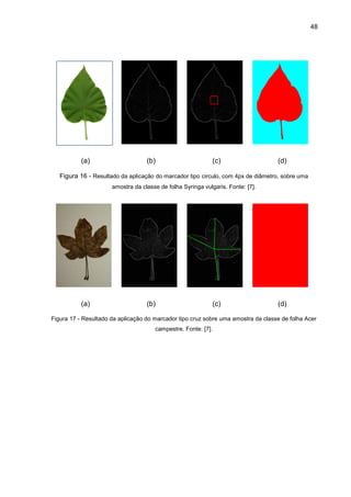 48
(a) (b) (c) (d)
Figura 16 - Resultado da aplicação do marcador tipo circulo, com 4px de diâmetro, sobre uma
amostra da classe de folha Syringa vulgaris. Fonte: [7].
(a) (b) (c) (d)
Figura 17 - Resultado da aplicação do marcador tipo cruz sobre uma amostra da classe de folha Acer
campestre. Fonte: [7].
 