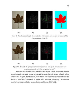 49
(a) (b) (c) (d)
Figura 18 - Resultado da aplicação do marcador tipo tridente sobre uma amostra da classe de folha
Acer campestre. Fonte: [7].
(a) (b) (c) (d)
Figura 19 - Resultado da aplicação do marcador tipo circulo, com 4px de diâmetro, sobre uma
amostra da classe de folha Acer campestre. Fonte: [7].
Com isto é possível notar que embora, em alguns casos, o resultado final foi
o mesmo, cada marcador possui um comportamento diferente ao ser aplicado sobre
uma mesma imagem. Sendo assim, foi realizado um experimento onde cada tipo de
marcador foi aplicado em todas as imagens do banco de imagens [7], e assim foi
possível reunir os resultados apresentados nas Figuras 20, 21e 22.
 