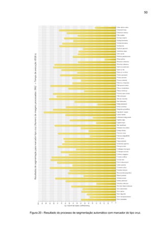 50
Figura 20 - Resultado do processo de segmentação automático com marcador do tipo cruz.
 