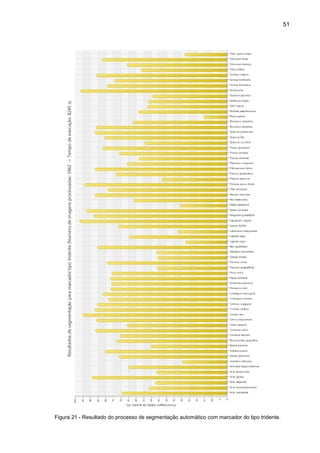 51
Figura 21 - Resultado do processo de segmentação automático com marcador do tipo tridente.
 