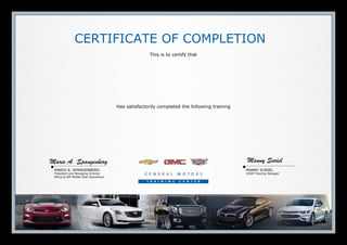 MARIO A. SPANGENBERG
President and Managing Director
Africa & GM Middle East Operations
MANNY SURIEL
VSSM Training Manager
CERTIFICATE OF COMPLETION
This is to certify that
Has satisfactorily completed the following training
Mario A. Spangenberg Manny Suriel
05/07/2013
Adeel Khan
00510.28W
Automotive Testers
 